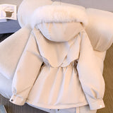 Geacă de damă de iarnă cu guler clasic călduroasă căptușită elegantă impermeabilă